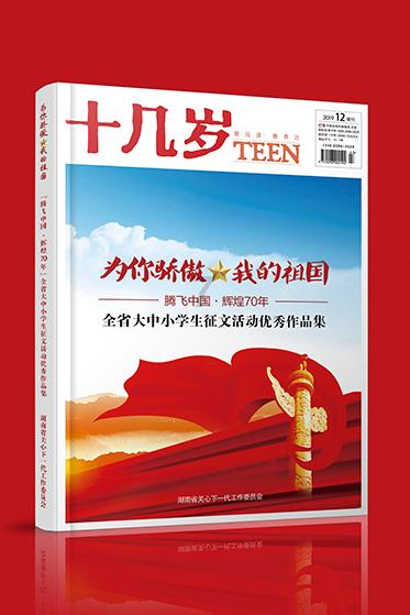 疯狂的小偷